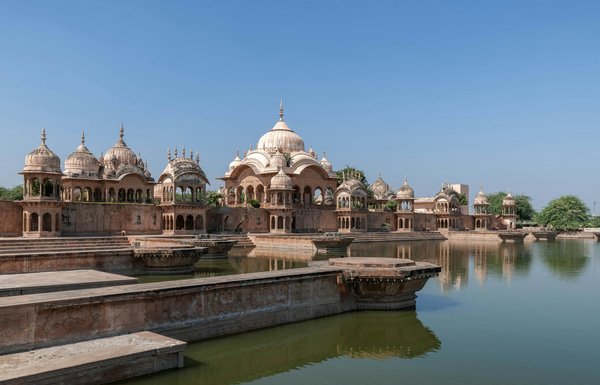 L'Arrivée Envoûtante des Pandas à Beauval : Une Célébration Mémorable et Captivante!
